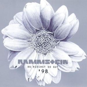 Du riechst so gut (Remix by Jacob Hellner & Marc Stagg) - Rammstein