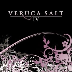 Salt Flat Epic - Veruca Salt