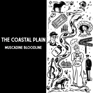 Two Tattered Tulips - Muscadine Bloodline