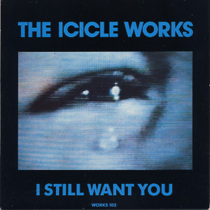 I Still Want You - The Icicle Works