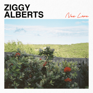 New Love - Ziggy Alberts