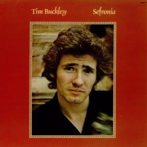 Stone In Love - Tim Buckley