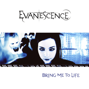 Bring Me to Life - Evanescence (Ft. Paul McCoy)