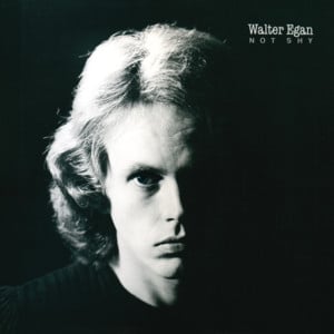 Make It Alone - Walter Egan