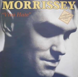 Angel Angel Down We Go Together - Morrissey