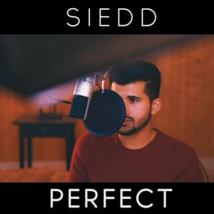 Perfect - Siedd