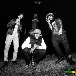 Regular and Complex (GNB) - Flatbush Zombies