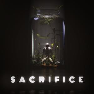 Sacrifice (ST Mix) - Kx5 (Ft. SOFI TUKKER)