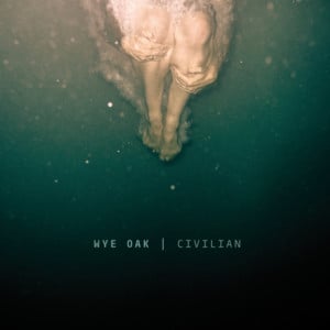 Plains - Wye Oak