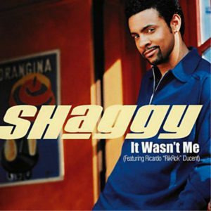 It Wasn’t Me - Shaggy (Ft. Rikrok)