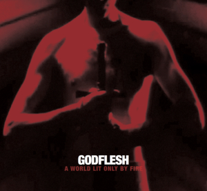 Shut Me Down - Godflesh