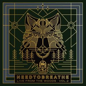 With a Little Help From My Friends / Brother (Live From the Woods) - NEEDTOBREATHE