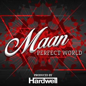 Perfect World - Maan