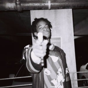 32 - Thouxanbanfauni