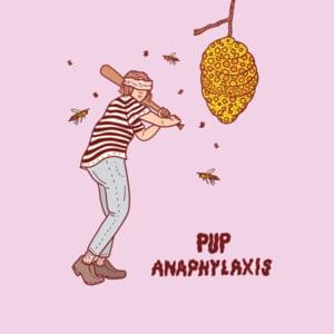 Anaphylaxis - PUP