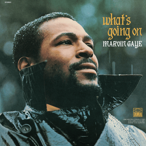 What’s Happening Brother - Marvin Gaye