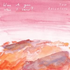 Was It You Who I Saw? - Tom Rosenthal