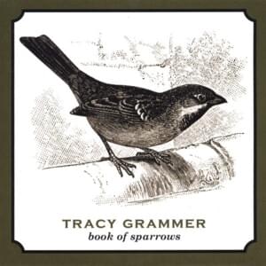 In the Shape of a Heart - Tracy Grammer