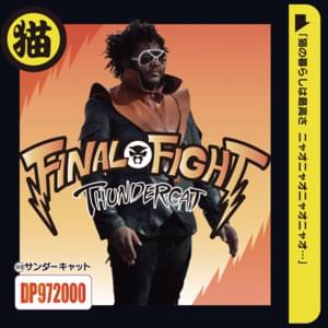 Final Fight - Thundercat