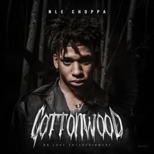 Chances - NLE Choppa