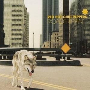 If You Have To Ask (Live ’00) - Red Hot Chili Peppers