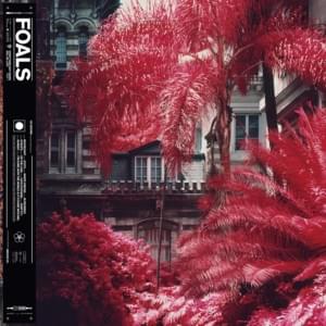 In Degrees - Foals