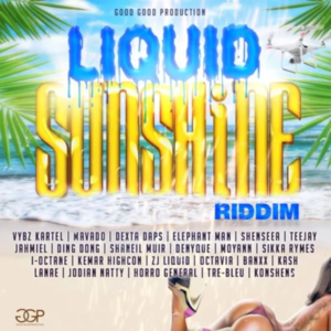 Party Nice - Vybz Kartel