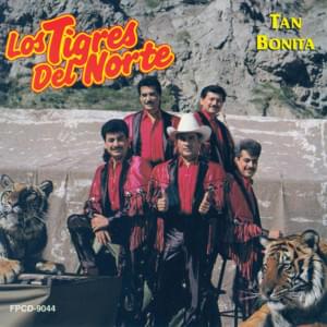 Cumbia de amor - Los Tigres Del Norte