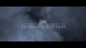 Du brauchst mich nicht - Zate (Ft. SlySer)