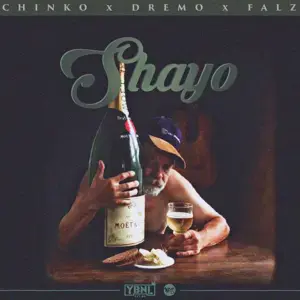 Shayo - Chinko Ekun (Ft. Dremo & Falz)