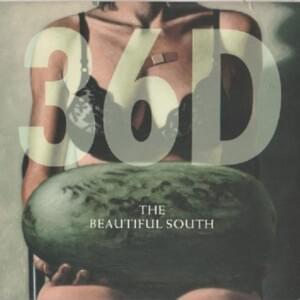 Throw His Song Away - The Beautiful South