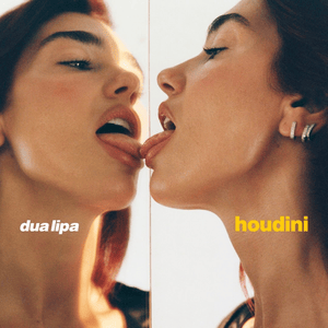 Dua Lipa - Houdini (Tradução em Português) - Lyrxo Brasil Traduções