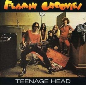 32-20 - The Flamin' Groovies