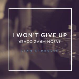 I Won’t Give Up - Liam Sturgess