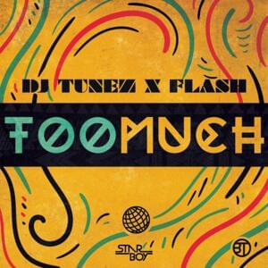 Too Much - DJ Tunez (Ft. Flash)