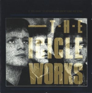 When You Were Mine - The Icicle Works