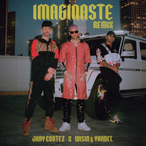 Imaginaste (Remix) - JHAYCO & Wisin Y Yandel