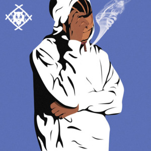 Ice Wizard Woe - Xavier Wulf