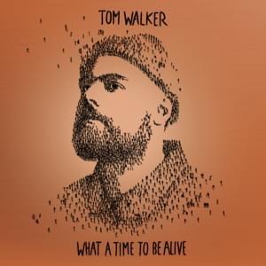 Something to Believe In - Tom Walker