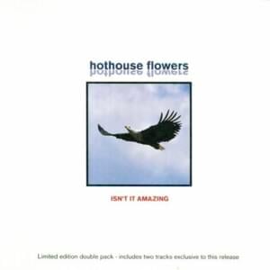 Of The People - Hothouse Flowers