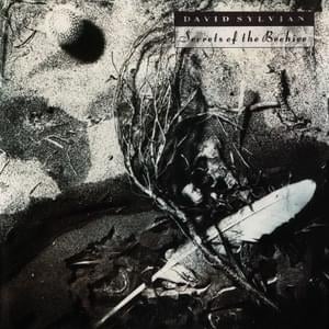 Promise (The Cult Of Eurydice) - David Sylvian