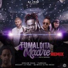 Tu Maldita Madre (Remix) - Shelow Shaq (Ft. Farruko, Mozart La Para & Químico Ultra Mega)