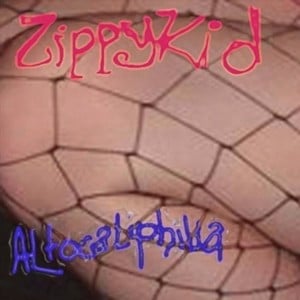 Our Last Lucidity - Zippy Kid