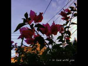 In love with you - Yabesh Thapa