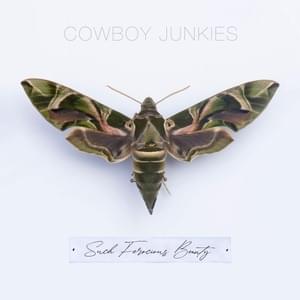 Hard To Build. Easy To Break - Cowboy Junkies