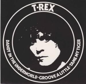 Tame My Tiger - T. Rex