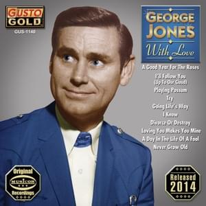 Divorce or Destroy - George Jones