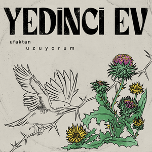 Yavaştan Kaçıyorum - Yedinci Ev