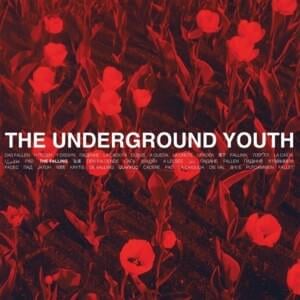 Vergiss Mich Nicht - The Underground Youth