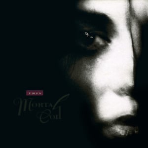 Morning Glory - This Mortal Coil